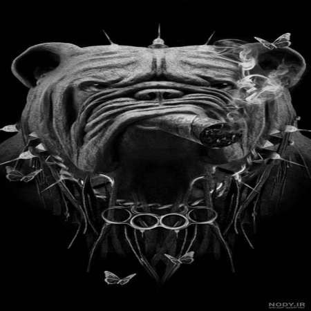 Amir Pasandide – Chet Baz